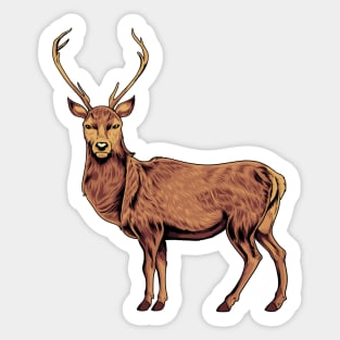 Drawing of a deer Sticker